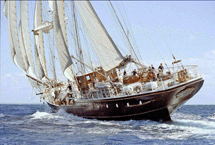 Salpa "Nave Italia"
la rotta della solidarietà